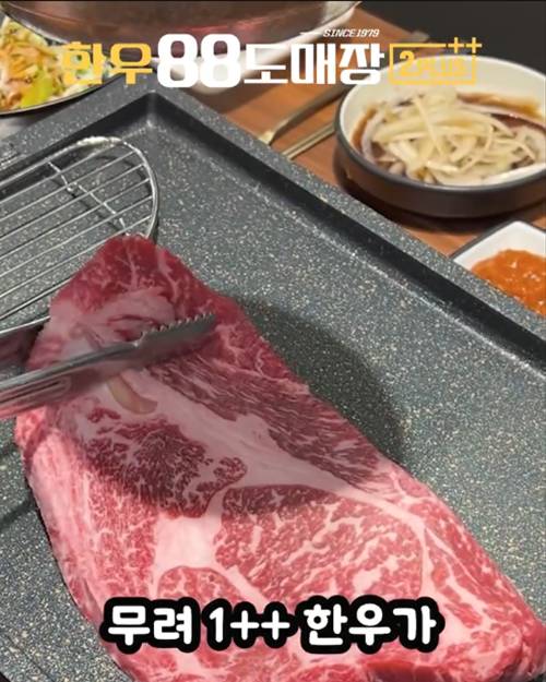 피드