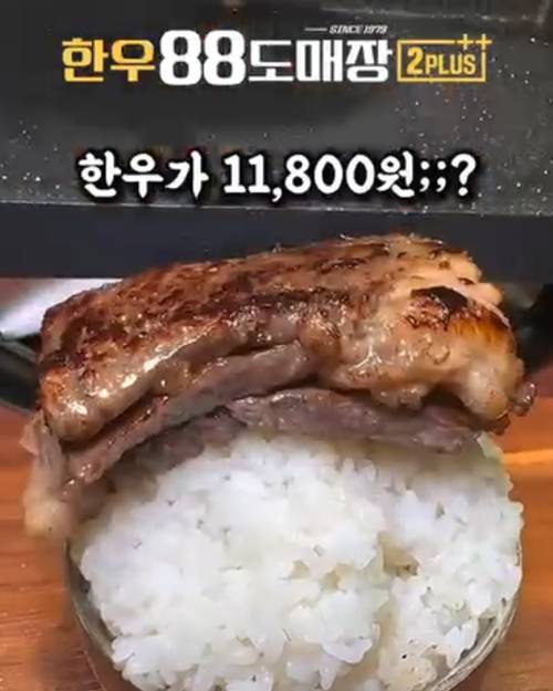 피드