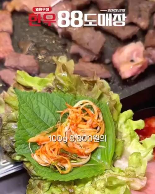 피드