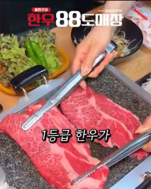 피드