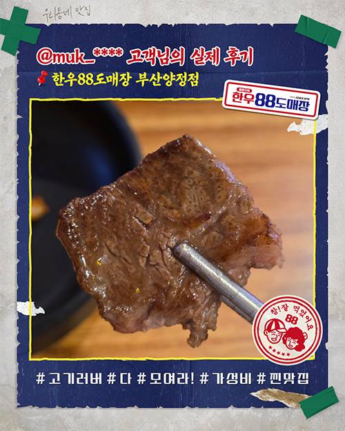 피드