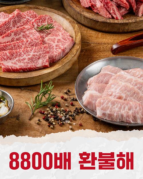 피드
